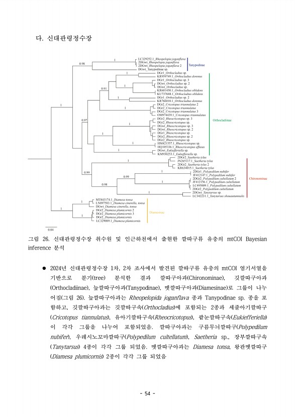 54페이지