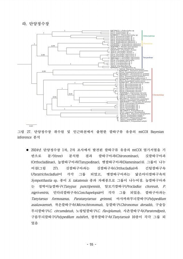 55페이지