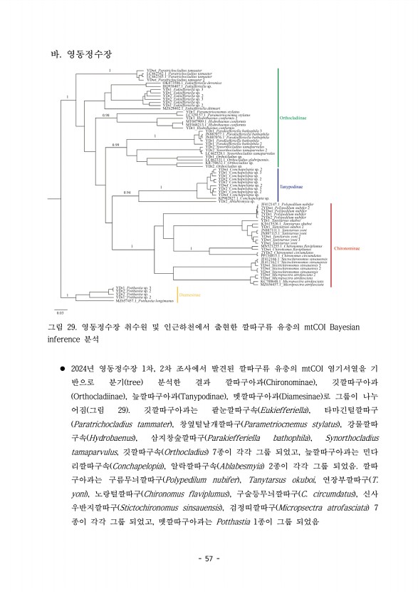 57페이지