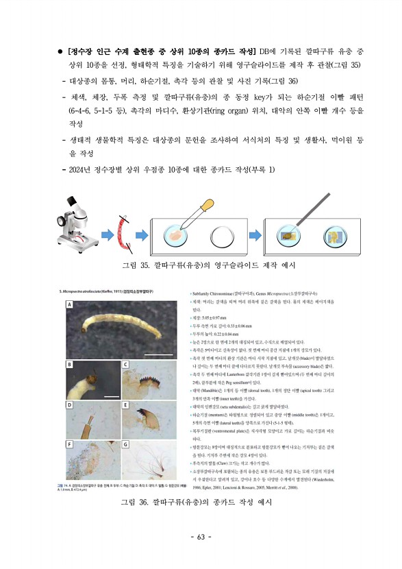 63페이지