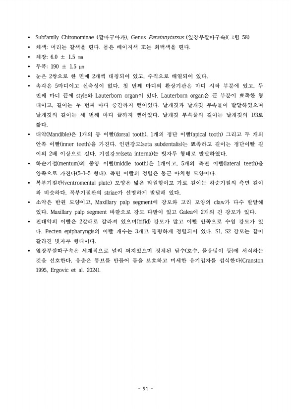 91페이지