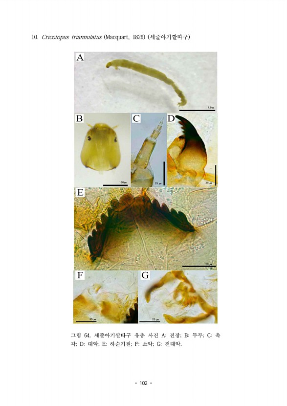 102페이지
