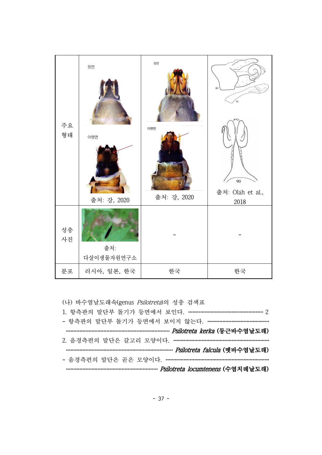 페이지