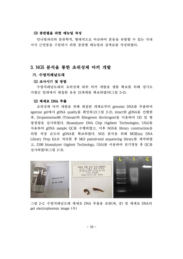 10페이지