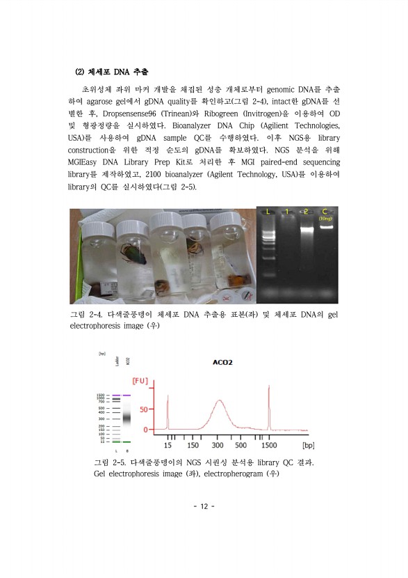 12페이지