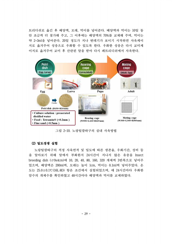 29페이지
