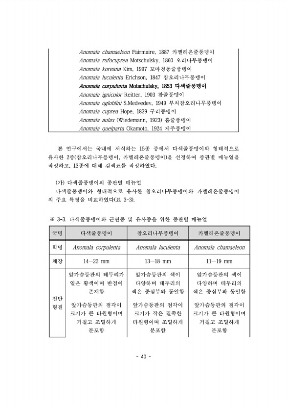 40페이지