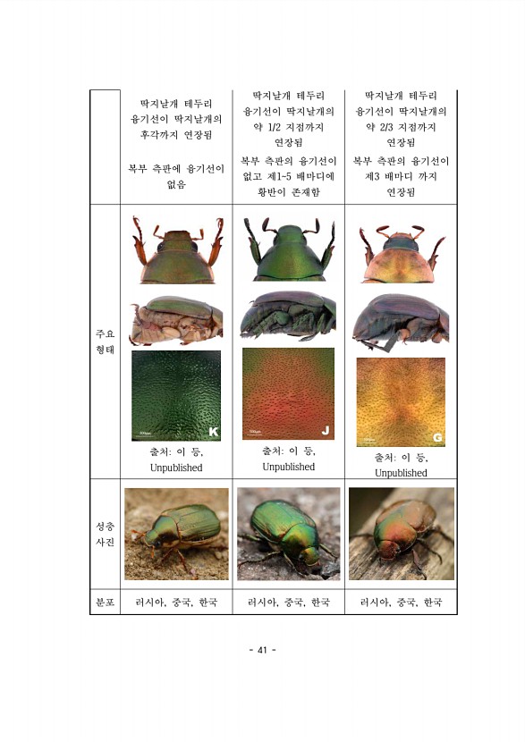 41페이지
