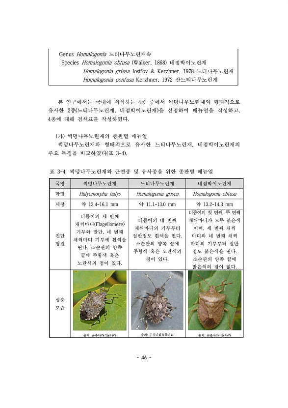 46페이지