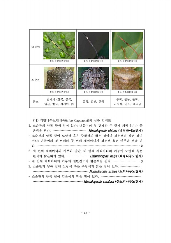 47페이지