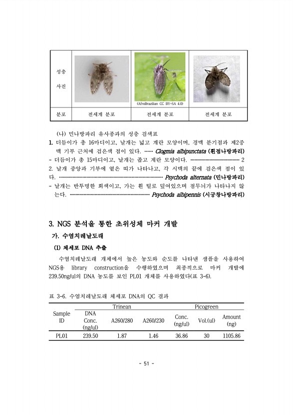 51페이지