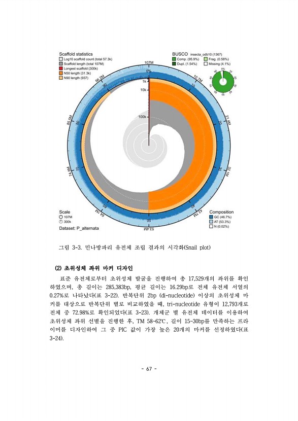 67페이지