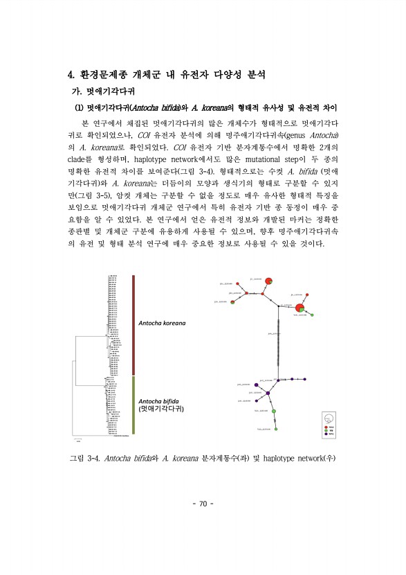 70페이지
