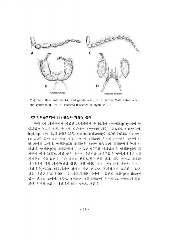 71페이지