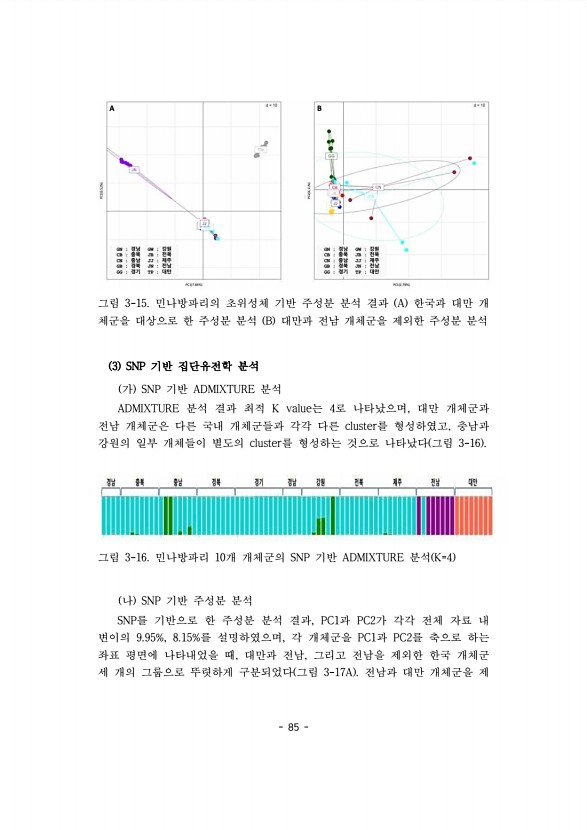 85페이지
