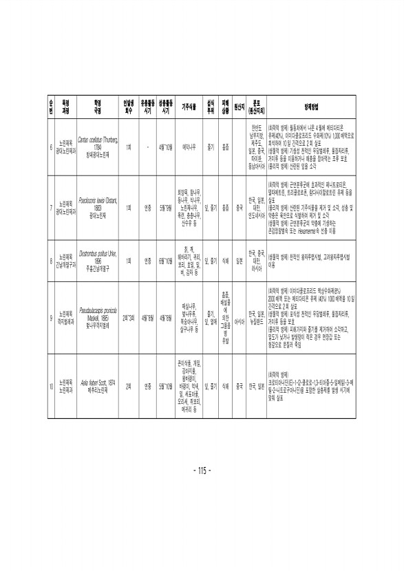 115페이지