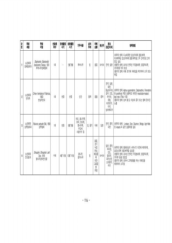 116페이지