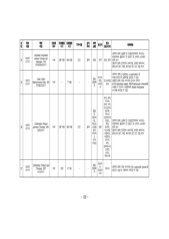 120페이지