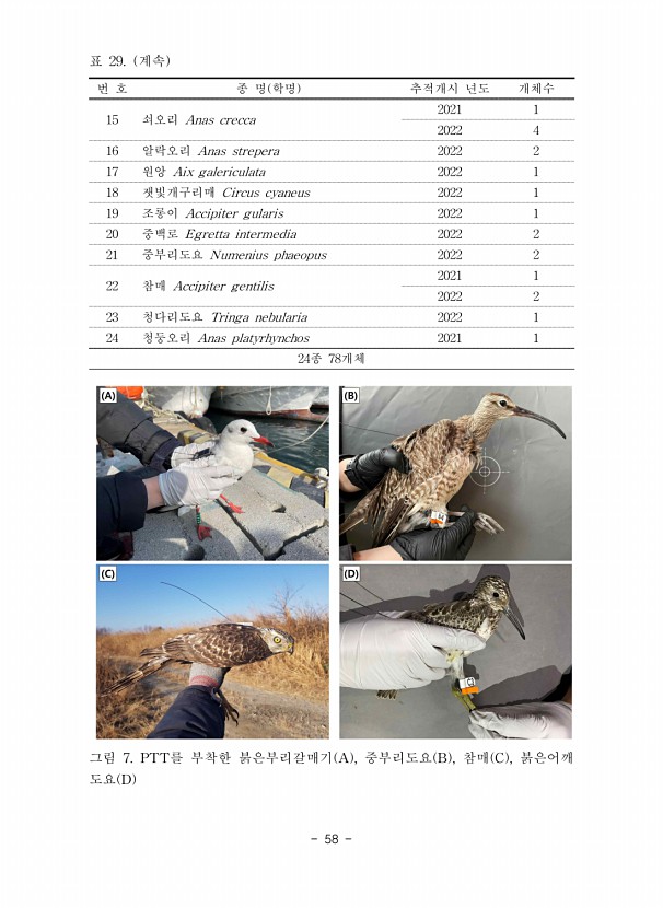 58페이지
