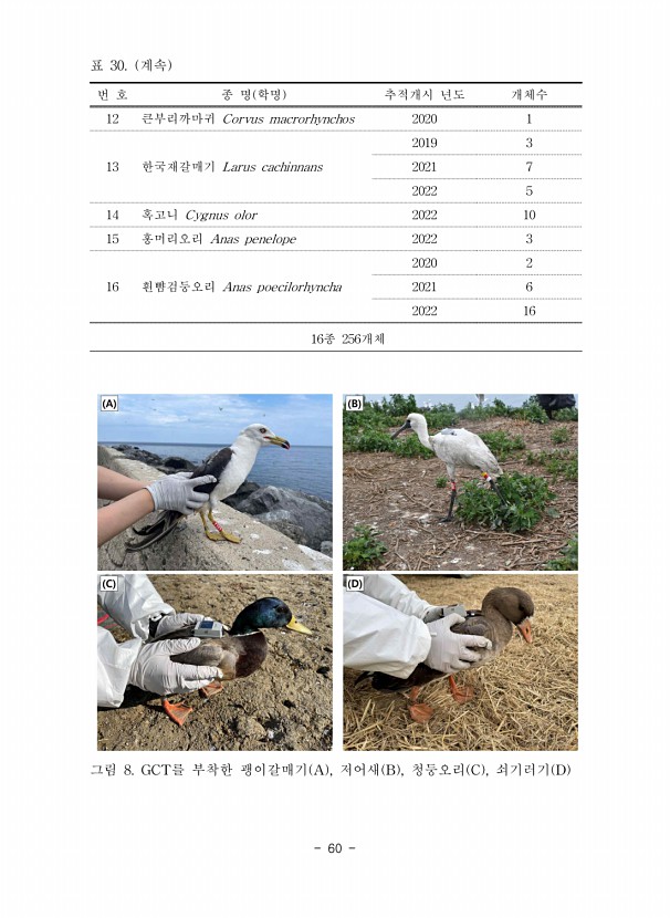 60페이지