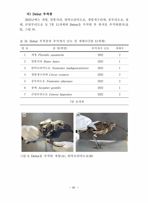 61페이지