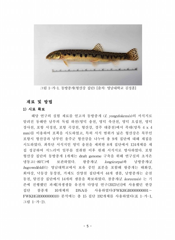 5페이지