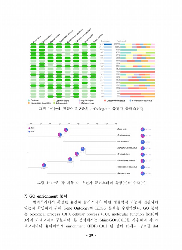 39페이지