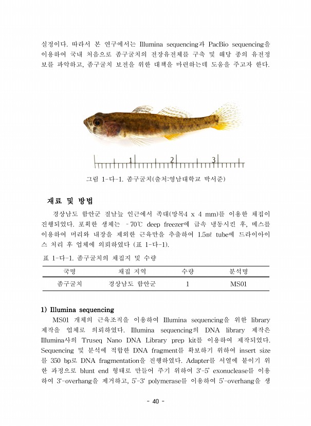 50페이지
