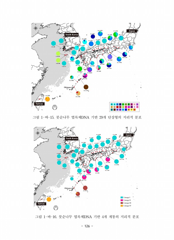 126페이지