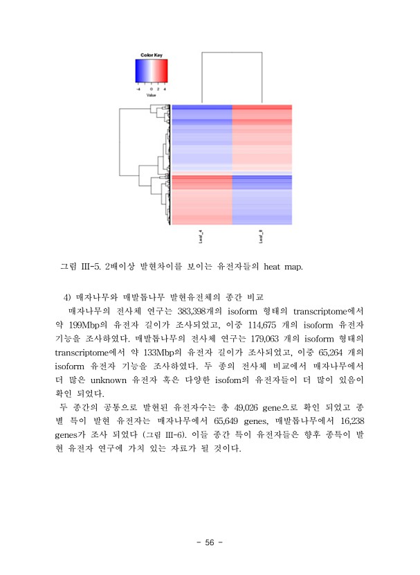 56페이지