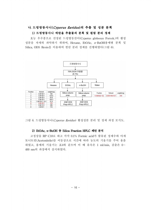16페이지