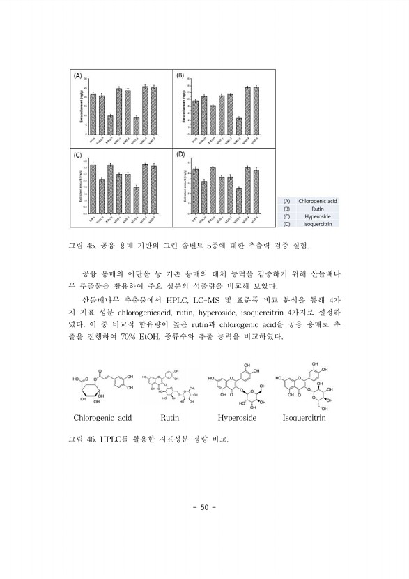 50페이지