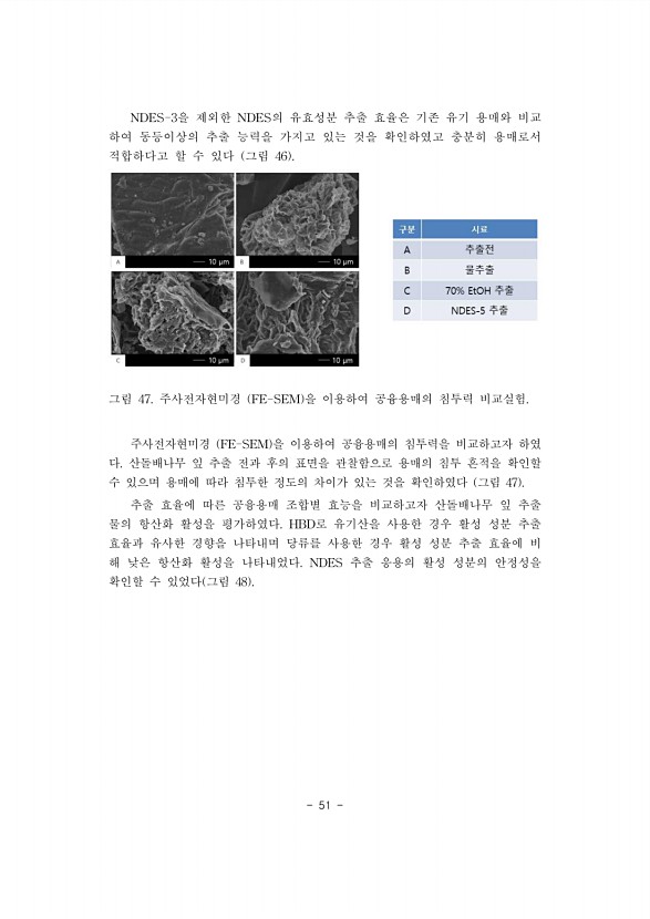 51페이지