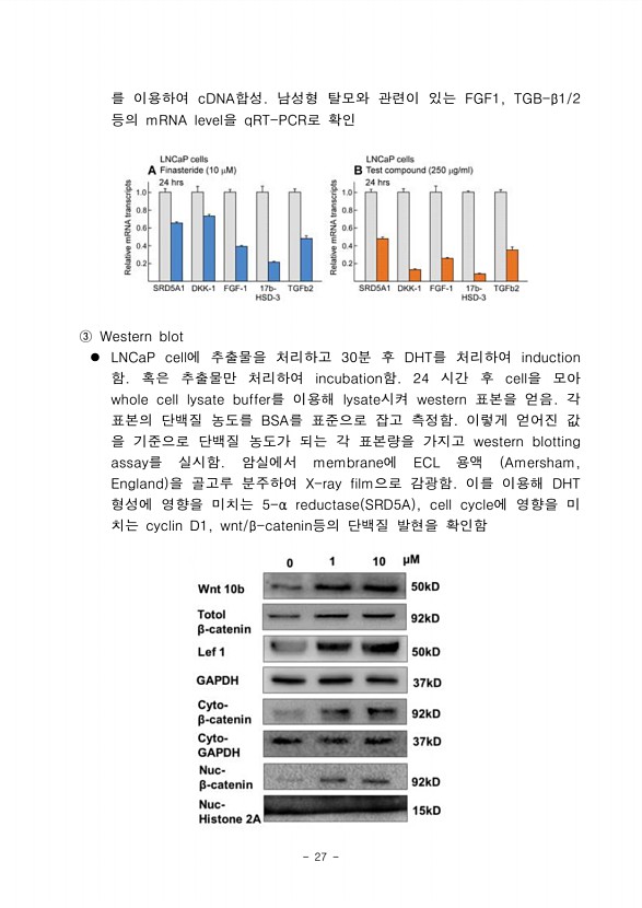 25페이지