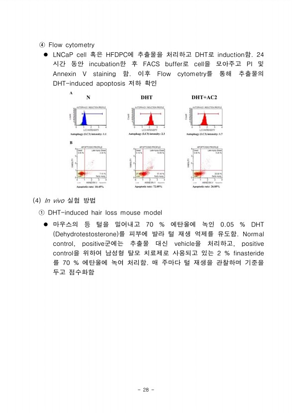 26페이지