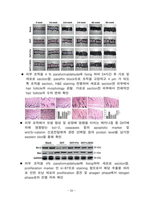 27페이지