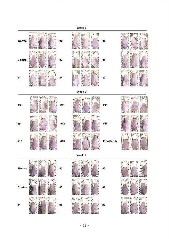 28페이지