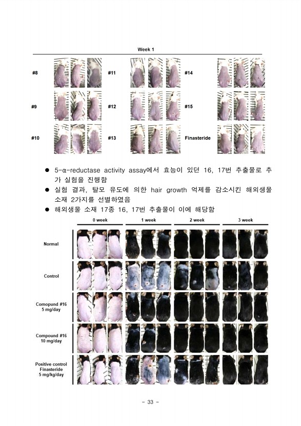 29페이지
