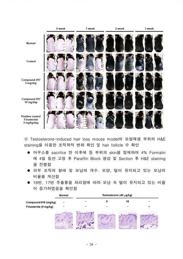 30페이지