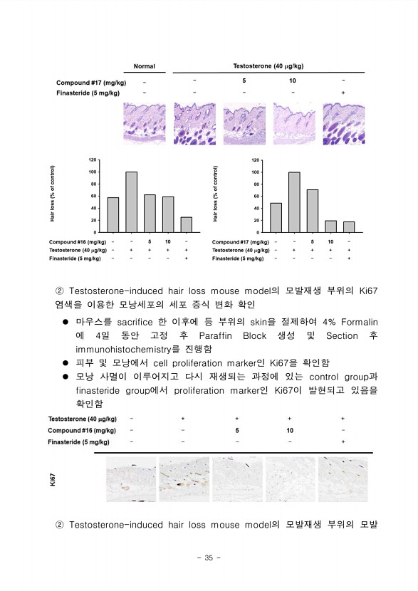 31페이지