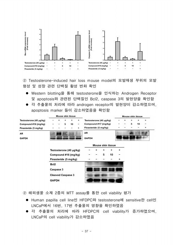 33페이지