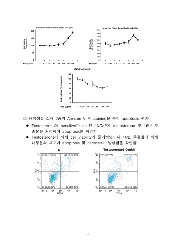 34페이지