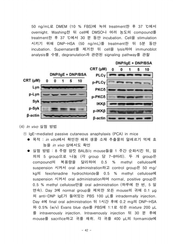 38페이지