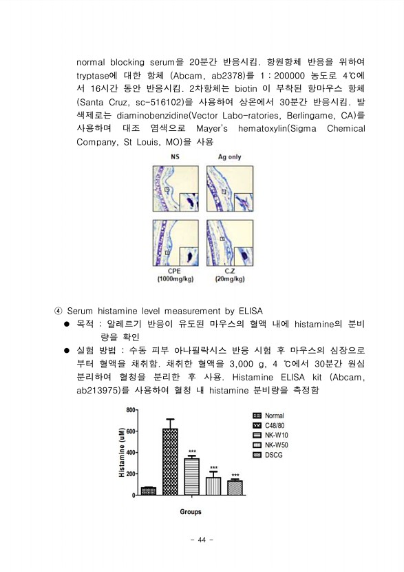 40페이지