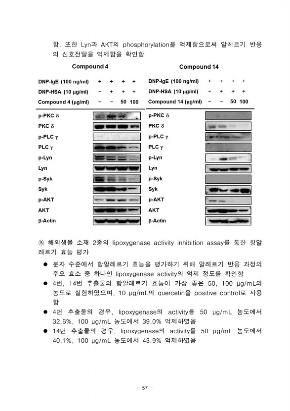56페이지