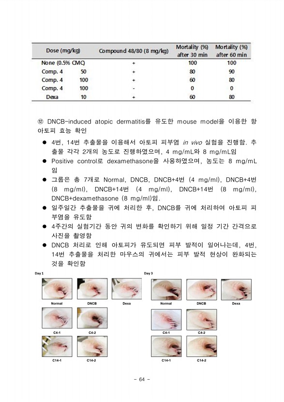 62페이지