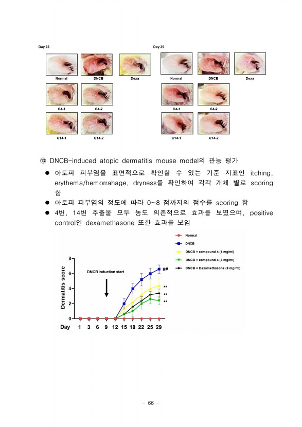 64페이지