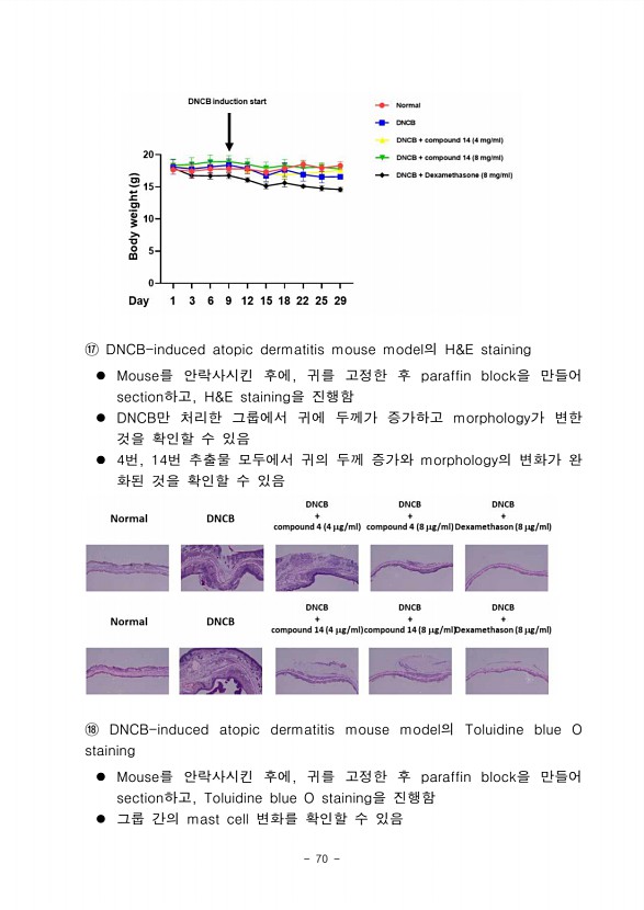68페이지
