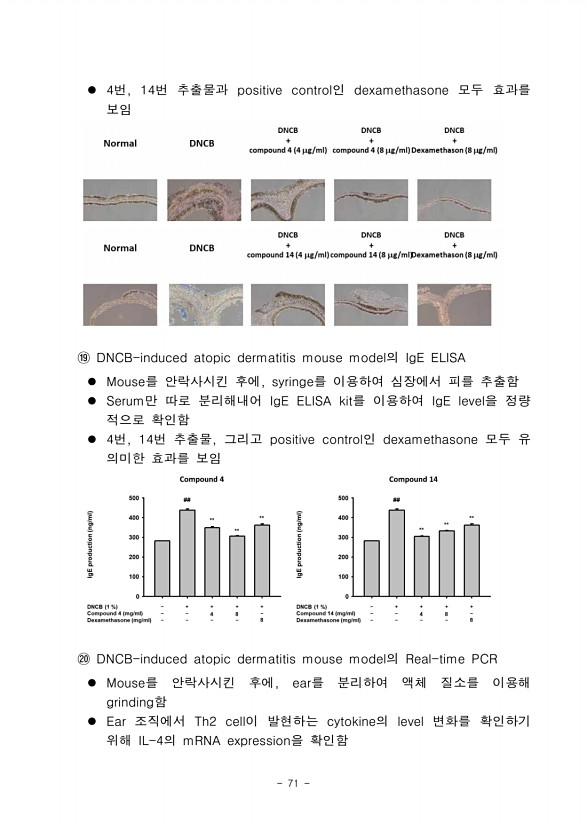 69페이지