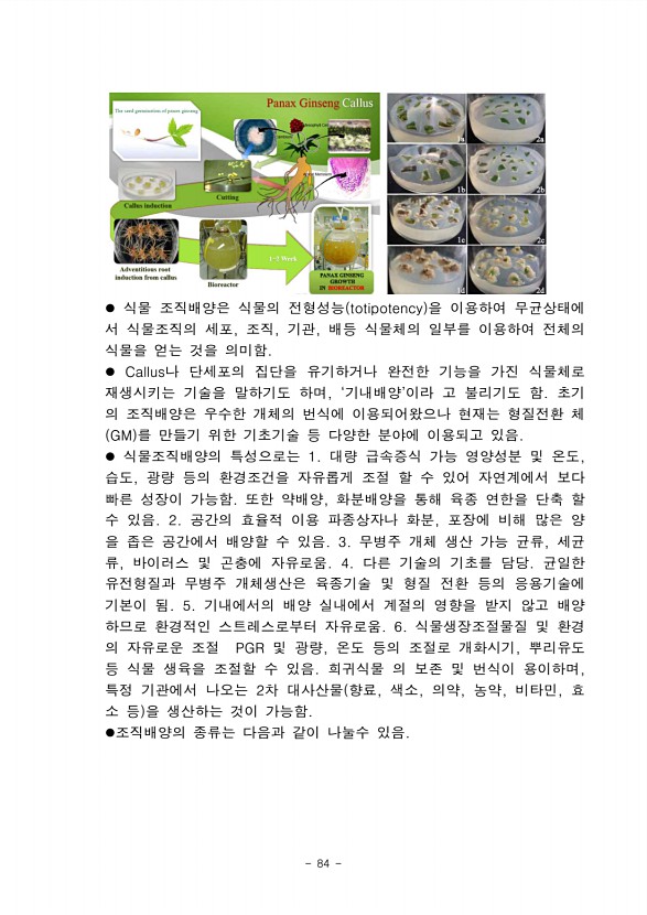 78페이지
